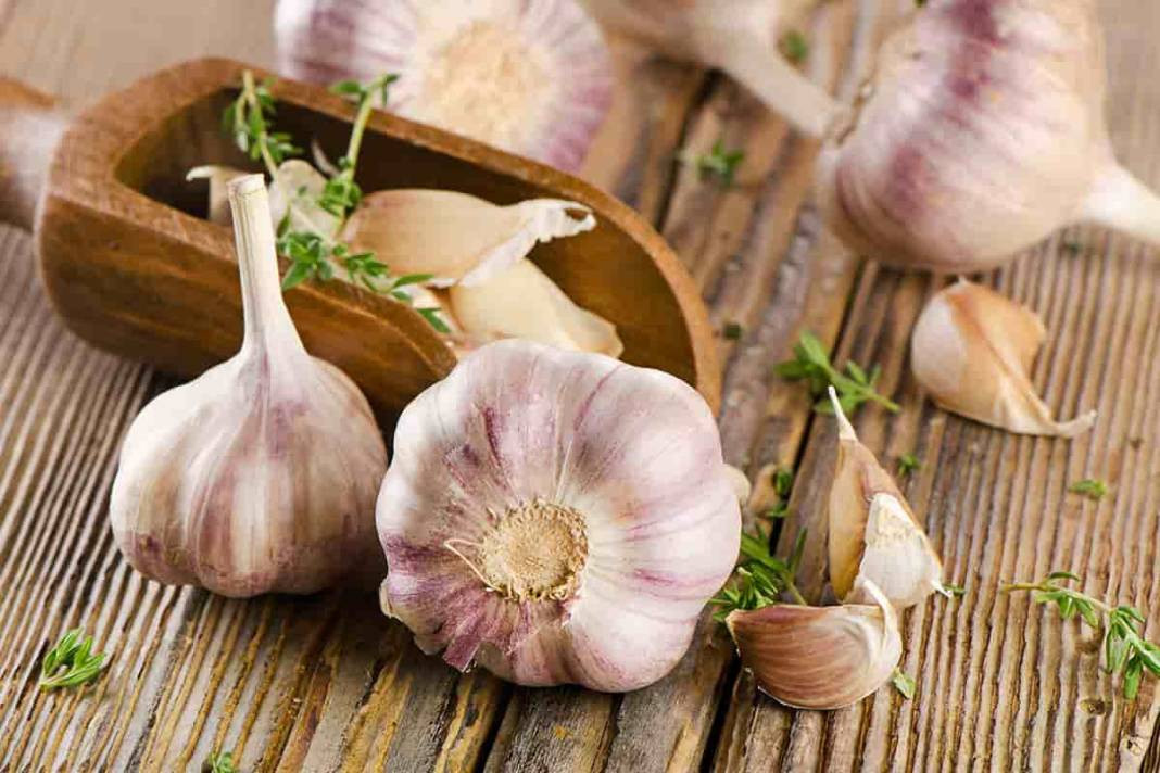 Sarımsağı tuzlu fıstık gibi soymanın sırrı bulundu! Aslında bu kadar basitmiş - Resim: 42